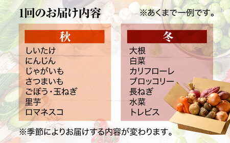 野菜 定期便【全6回】（12-16種） 野菜 セット[AGBX004]