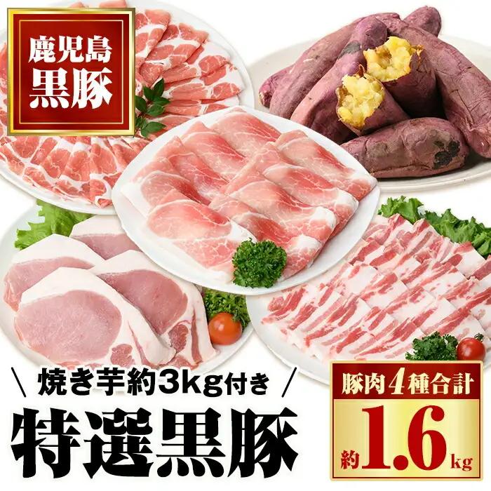 【C02043】特選黒豚セット(計約1.6kg)紅はるか焼き芋(約3kg)付き！鹿児島 国産 九州産 黒豚 バラ カルビ モモ 切り落とし 肩ロース しゃぶしゃぶ用 ロース 焼いも 焼き芋 セット【和田養豚】