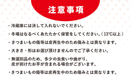 【訳あり】香取市産 さつまいも 紅はるか 約5kg×1 焼き芋やスイートポテトにどうぞ  / 芋 サツマイモ さつま芋 紅はるか べにはるか ベニハルカ 焼き芋 焼芋 焼いも お芋 おいも いも 生芋