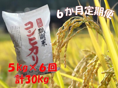 【令和7年産】【6ヶ月定期便】新潟産 コシヒカリ「瓢湖米」 5kg×6回 白米 精米 米 こめ コメ 1N09073
