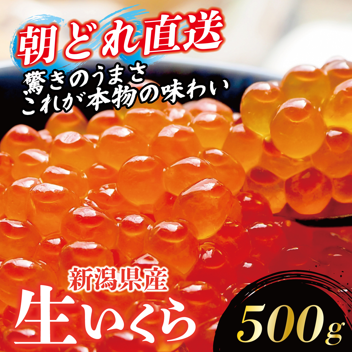 令和8年産 生イクラ 500g 【 いくら 鮭 生いくら 海鮮 鮮魚 朝どれ 朝採れ とれたて 国産 新潟県産 お正月 おせち 年末 年始 贈答 予約 いくら 魚水島】 J50_05