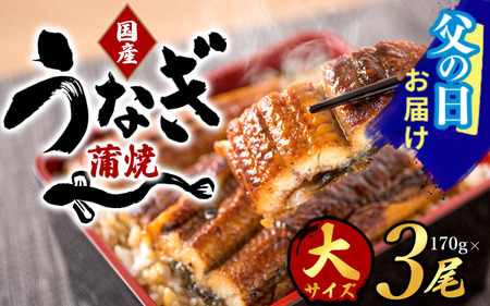 【父の日】大型サイズ ふっくら柔らか国産うなぎ蒲焼き ３尾 / ウナギ 鰻 うなぎ蒲焼 ひつまぶし うな丼 うな重 国産 プレゼント 贈答 父の日【uot303-pp】