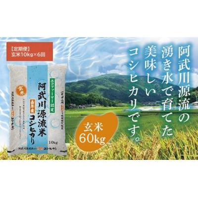 ふるさと納税 山口市 【定期便】阿武川源流米コシヒカリ玄米60キログラム(10キログラム×6回) A095