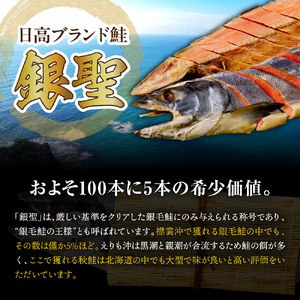 えりも【マルデン特製】北海道日高産銀聖鮭の山漬 300g×3p(900g)【er002-083-a】