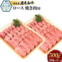 【ふるさと納税】球磨産黒毛和牛 ロース焼き肉用 合計500g (250g×2パック) 黒毛和牛 和牛 ロース お肉 牛肉 スライス 焼肉用 焼肉 焼き肉 バーベキュー BBQ 国産 熊本県産 冷凍 送料無料