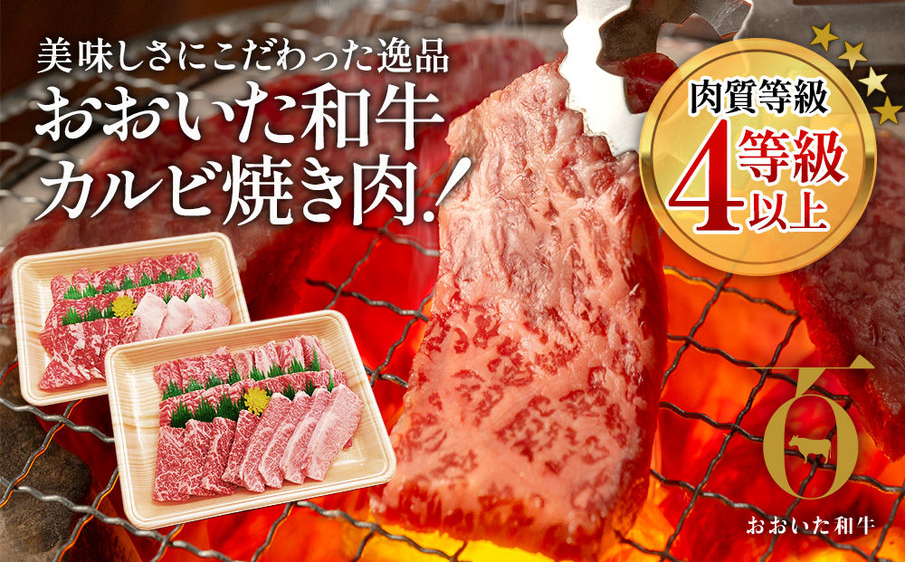 おおいた和牛 焼肉用 300g×2P(合計600g） 牛肉 黒毛和牛 バラ肉 和牛 豊後牛 国産牛 赤身肉 焼き肉 焼肉 大分県産 九州産 津久見市 国産【tsu002306】