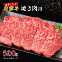 【ふるさと納税】牛肉 飛騨牛 焼き肉 セット ロース 又は 肩ロース 500g 黒毛和牛 A5 美味しい お肉 牛 肉 和牛 焼肉 BBQ バーベキュー 【岐阜県池田町】　【 岐阜県池田町 】