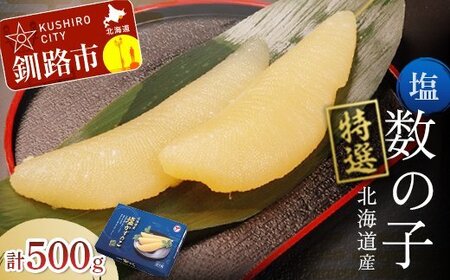 北海道産 塩数の子 500g ふるさと納税 魚卵 マルア阿部商店特選 北海道 釧路市