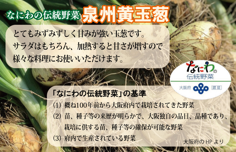 010B259 【先行予約】 数量限定 幻のたまねぎ 泉州黄玉ねぎ 10kg【新鮮 野菜 泉佐野産 茄子 やさい 高評価 数量限定】