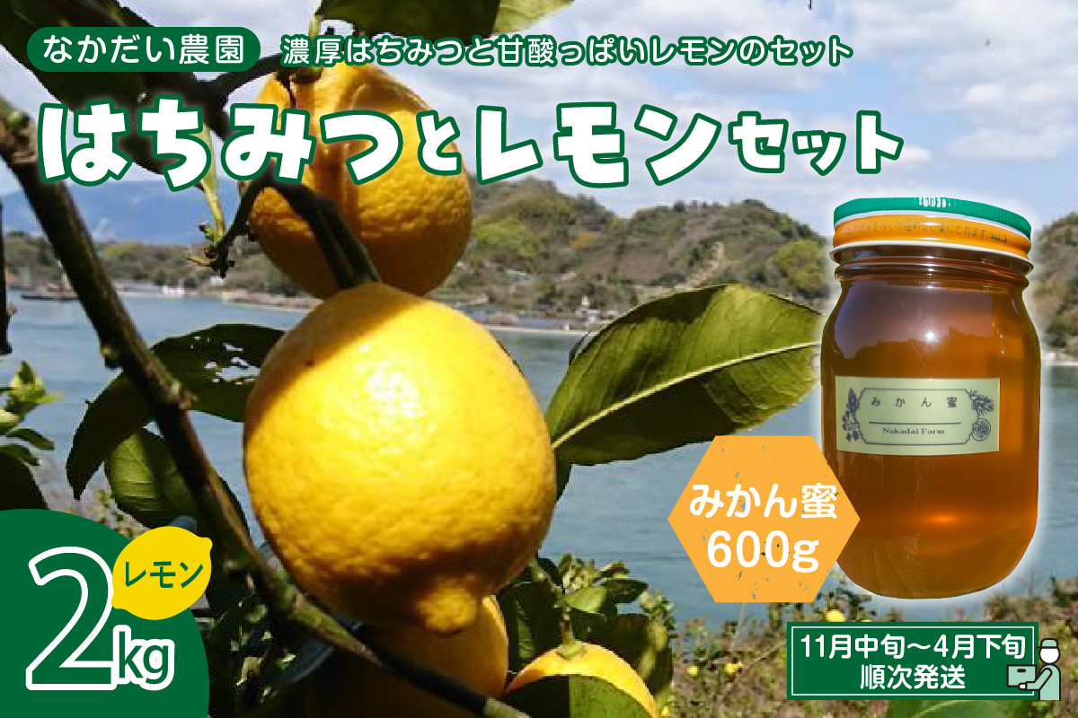 
【先行受付】【非加熱・純粋はちみつ】みかん蜜600g＆【栽培期間中防腐剤・農薬・ワックス不使用】レモン2キロセット
