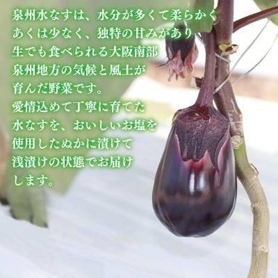 ふるさと納税 泉佐野市 大人気 泉州水なす漬け 6個 G1490 |  | 01