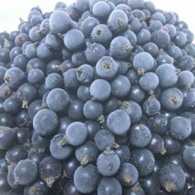 ふるさと納税 遠野市 冷凍 カシス 1kg 完熟収穫 栽培期間中 農薬不使用 農家 直送 / 遠野もぐもぐカントリー |  | 01