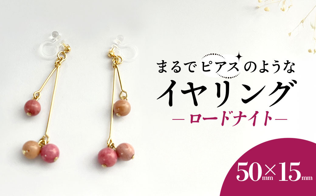 
            まるでピアスのようなイヤリング＊ロードナイト /  アクセサリー ジュエリー イヤリング 天然石  京都府 長岡京市 NGBE012
          