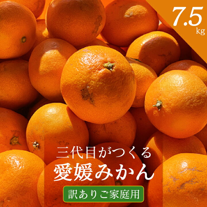 【ふるさと納税】三代目がつくる愛媛みかん 7.5kg【訳あり(家庭用)】【C31-17】_ ミカン 蜜柑 柑橘類 柑橘 フルーツ 果物 くだもの 訳アリ わけあり ご家庭用 人気 美味しい 愛媛県 八幡浜市 ふるさと 【1120067】