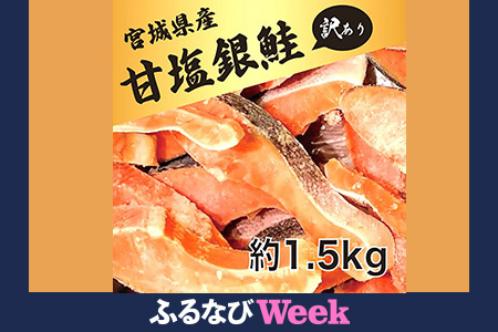 【ふるなびWEEK対象】訳あり　銀鮭　宮城県産　甘塩　切身　約1.5kg　国産　/　宮城県　女川町　FN-Limited-PR【配送不可地域：離島】【1525306】