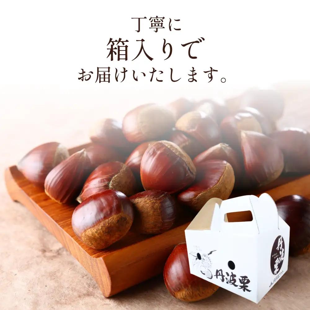丹波市産　丹波栗　2L・2kg