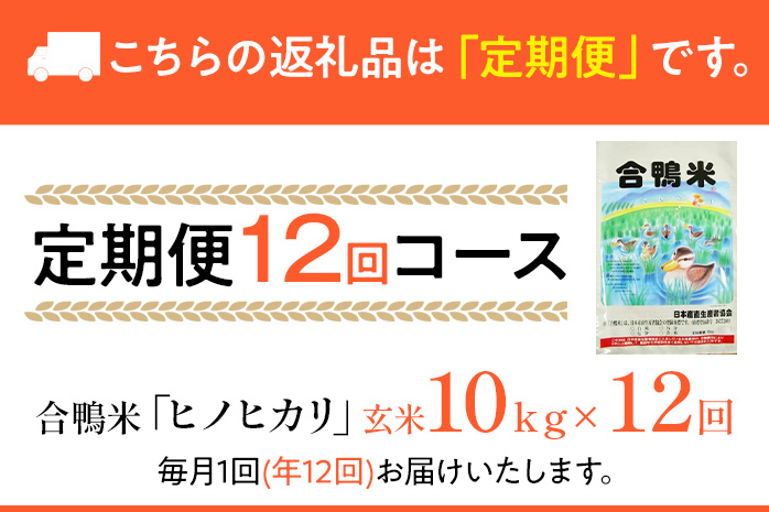 令和7年産 新米予約 合鴨米「ヒノヒカリ」（玄米・10kg）定期便12回コース　BI07　※2025年10月より順次出荷予定