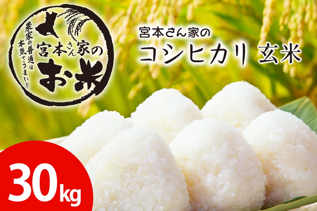 
                  新米【令和8年産】茨城県稲敷市産 宮本さん家のこしひかり 【玄米】30kg (1袋)｜米 おこめ コシヒカリ 玄米 農家直送 直送 茨城県 [2848]
                