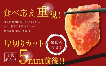 【5袋で3.5kg】ジンギスカン