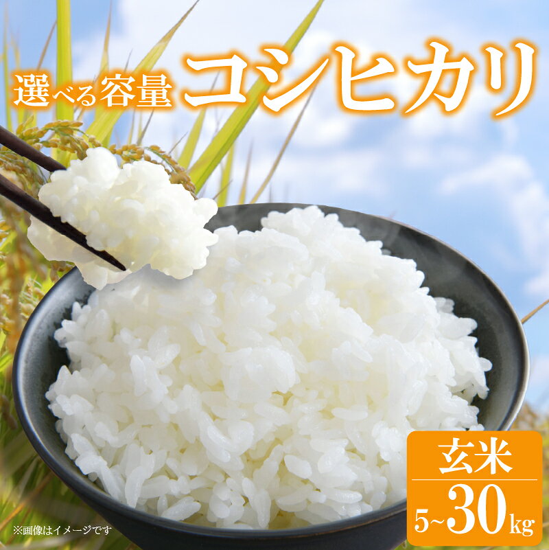 【ふるさと納税】 令和8年産 5kg ~ 30kg 米 コシヒカリ 米 玄米 国産 滋賀県 日野町 農家直送 お米 おこめ こめ 産地直送 ふるさと納税