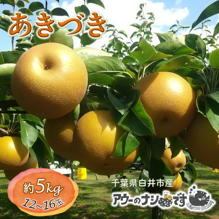 【ふるさと納税】【2026年秋収穫分】あきづき 先行予約 梨 5kg 9～16玉 農家直送 採りたて もぎたて 新鮮 果汁たっぷり 甘い みずみずしい 美味しい おすすめ アウーファーム【お届け地域限定】