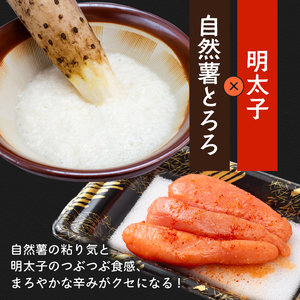 とろろ 食べ比べ 3種セット 100g × 3種 × 2個 とろろ とろろ とろろ とろろ ふるなび 尾白弁当