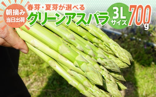 
            アスパラガス 3L 700g【6月から8月お届け】 BT01 BT05 BT-S0001
          