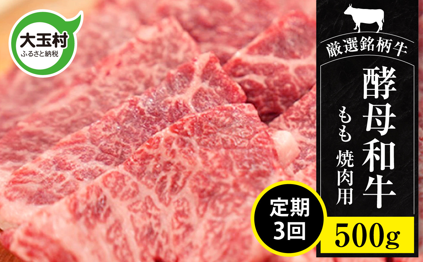 
            福島県 大玉村 黒毛和牛 国産 あだたら酵母牛 焼肉用 もも 500g×3回 計1.5kg 定期便 牛肉 和牛 焼肉 鉄板焼 ご家庭用 贈答用 ギフト ふるさと納税 ブランド和牛 特産 もも肉 高級 産直 肉料理
          