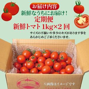 先行受付 トマト 1kg 2回 計2㎏ 安田町産 定期便 トマト TR-05