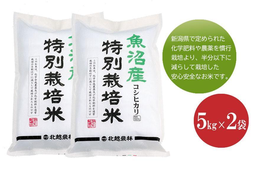 魚沼産コシヒカリ 特別栽培米10kg 新潟県認証米 令和5年産