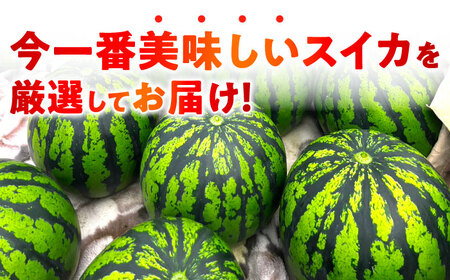 【先行予約】 【2回定期便】 大玉スイカ！4L～5Lサイズ（1玉 約9kg～11kg）　2種類楽しめる！ 1玉入りを2回お届け！ 【城野農園】[ZFV007]