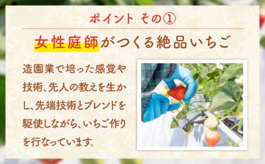 いちご農家が作る！完熟いちごのご褒美ジェラート 6個セット 《壱岐市》【蒼花】 アイス お菓子 いちご イチゴ 苺 ストロベリー ジェラート ソルベ いちごアイス 苺アイス ストロベリーアイス [JE