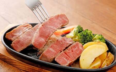 【定期便3か月】くまもとあか牛 ヒレ肉800g(6枚前後)･馬刺し200g(赤身100g･霜降り50g･たてがみ50g) 食べ比べセット 合計約3kg