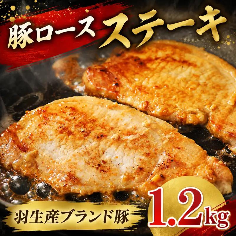 豚ロース ステーキ 1.2kg ( 100g × 3枚 ) ×4P 国産 豚ロース 冷凍