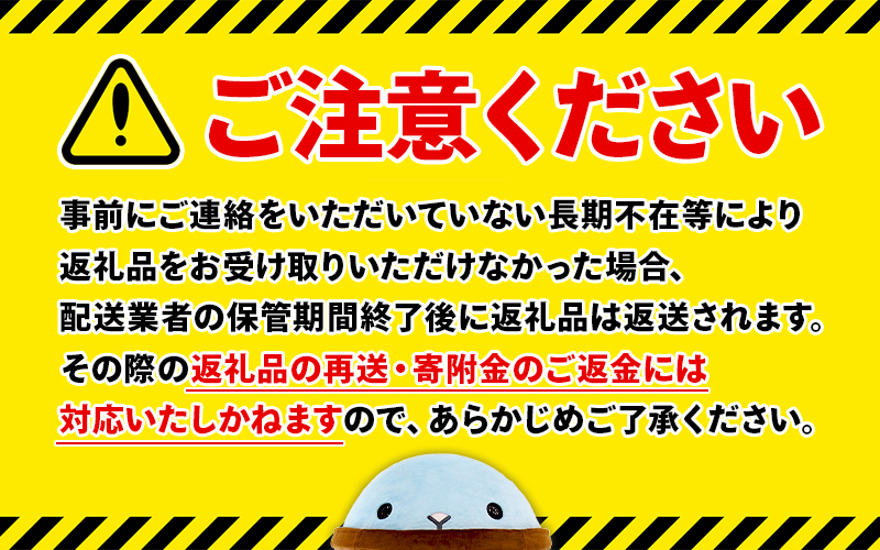 康秀の千年鯛 刺し身スライス 4皿