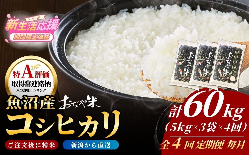 
                  【4か月定期便 コシヒカリ】 令和7年産 新潟県 魚沼産コシヒカリ「おぢや米」合計60kg(5kg×3袋×毎月お届け全4回) JA魚沼 | 新潟産コシヒカリ 特A評価 魚沼産 新潟県産コシヒカリ 新潟県産こしひかり 魚沼コシヒカリ お米 米 こしひかり 白米 精米 ブランド米 特A評価地区【0002-JA22DB00】
                