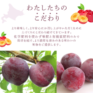 【先行受付】 プラム 紅香のしずく 1kg 北海道 芦別市 大橋さくらんぼ園