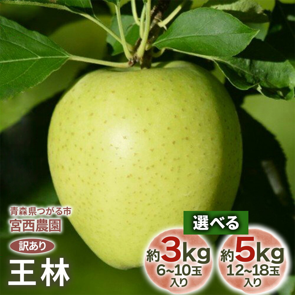 【ふるさと納税】[訳あり] 王林 芳醇な香りの青りんご 3kg／5kg｜ 令和8年 2026年 訳アリ 訳あり 家庭用 青森産 津軽 つがる りんご リンゴ 果物 フルーツ 王林 おうりん 青森りんご マタニティフード認定 [1052-1054]
