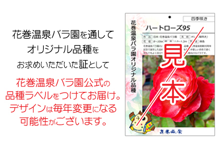 花巻温泉バラ園 オリジナル品種「ミラクルローズ90」　新苗　<2025年6月より随時発送> 【1999】