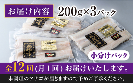 【全12回定期便】対馬産 西沖あなご 200g×3パック《対馬市》【保家商事】 あなご 穴子 アナゴ 海鮮 海産物 魚介[WAA027]