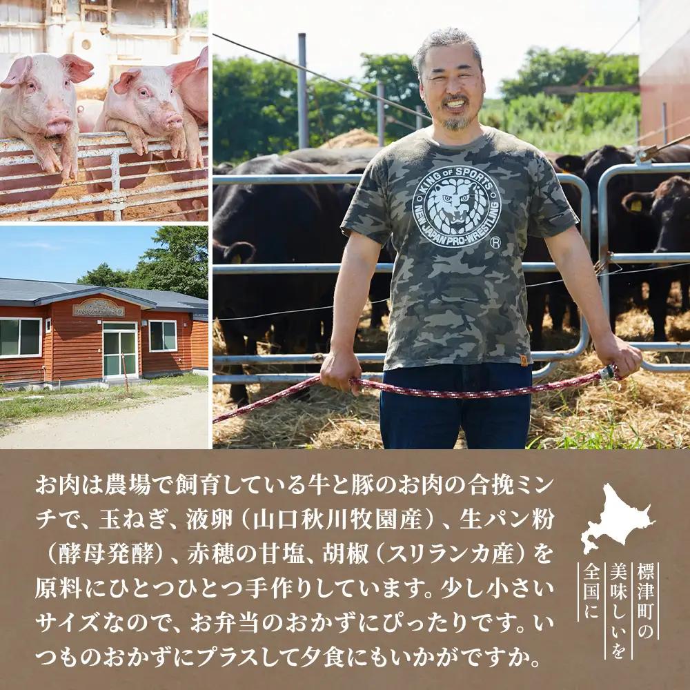 生ハンバーグミニ 50個セット(5個×10パック) ハンバーグ 【AC】