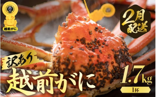 越前がに本場の越前町からお届け！【訳あり】≪浜茹で≫越前がに 極み（きわみ）サイズ（生で約1.7kg～）規格外でも贅沢！食べ応え十分 食べ方しおり付き【訳あり  ゆで 贈答 ギフト 雄 ズワイガニ 越前ガニ 姿 ボイル 冷蔵 かに カニ 蟹 福井県】【2月発送分】希望日指定可 備考欄に希望日をご記入ください [e57-x010_02]