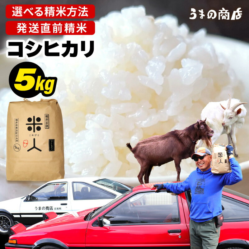 【ふるさと納税】【令和7年産】 コシヒカリ 5kg【分づき具合をお選びください】