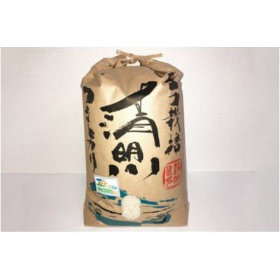 ふるさと納税 阿見町 茨城県特別栽培認証 清明川コシヒカリ白米5kg×2袋【令和6年産】(04-02) |  | 01