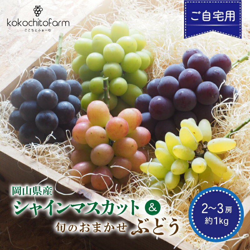 【ふるさと納税】 【2026年先行予約】 ここちとふぁーむ 【ご自宅用】 岡山県産 シャインマスカット＆旬のおまかせぶどう 2～3房 約1kg / 数量限定 産地直送 ぶどう 食べ比べ ブドウ シャインマスカット 真庭市 セット