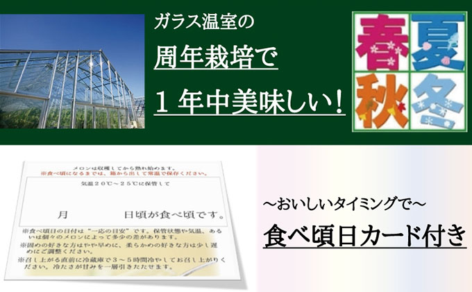 クラウンメロン特大玉1玉入【偶数月6回定期便】【配送不可：離島】