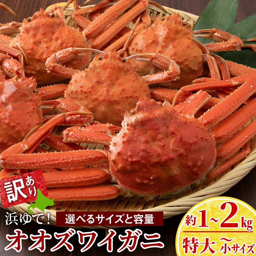 【ふるさと納税】訳あり オオズワイガニオス 選べる小〜特大サイズ 計1kg～2kg 浜ゆで 特大サイズ3尾 大サイズ4〜5尾入 中サイズ3〜10尾入 小サイズ8〜20尾入 選べる発送月冷凍 訳あり オオズワイガニ おおずわい蟹 オオズワイガニ 姿 ボイル ふるさと納税