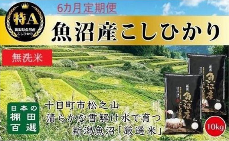 【令和7年産新米予約】 【食味鑑定士厳選】無洗米 6カ月 定期便 日本棚田百選のお米 天空の里 魚沼産 こしひかり 10kg(5kg×2)×6回 米 お米 コメ