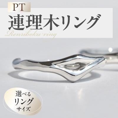 ふるさと納税 小牧市 PT連理木リング〈1.8mm幅〉(7号)[016K32-02]
