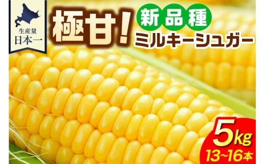 【7月24日～8月15日頃順次発送予定】北海道十勝芽室町 ファームミリオンの極甘スイートコーン5㎏　（ミルキーシュガー） me016-016c-25